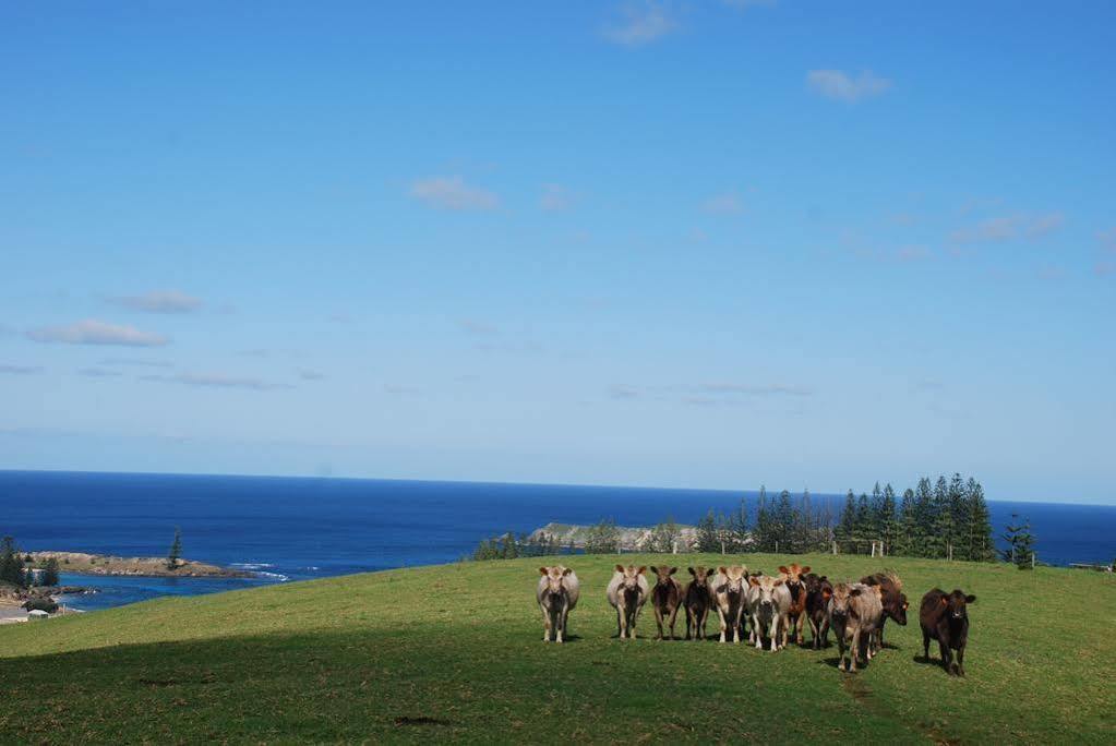 Coast Norfolk Island Apartment Burnt Pine Luaran gambar